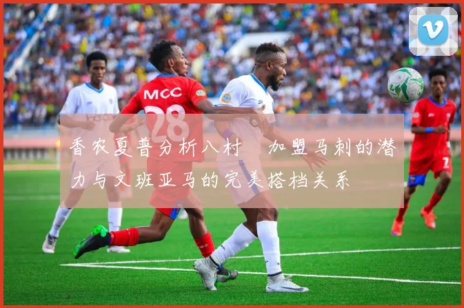 香农夏普分析八村塁加盟马刺的潜力与文班亚马的完美搭档关系
