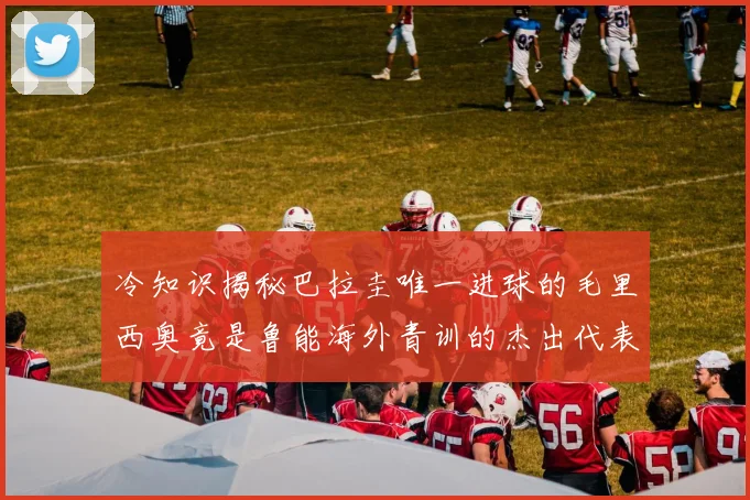 冷知识揭秘巴拉圭唯一进球的毛里西奥竟是鲁能海外青训的杰出代表